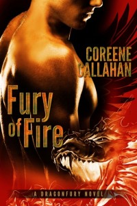 Cover - Fury of Fire